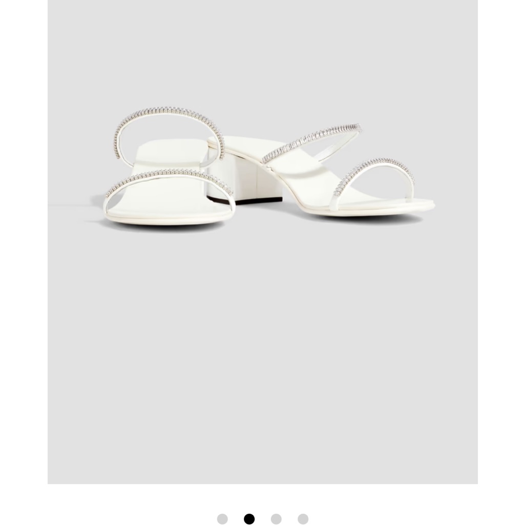 Giuseppe Zanotti Heels